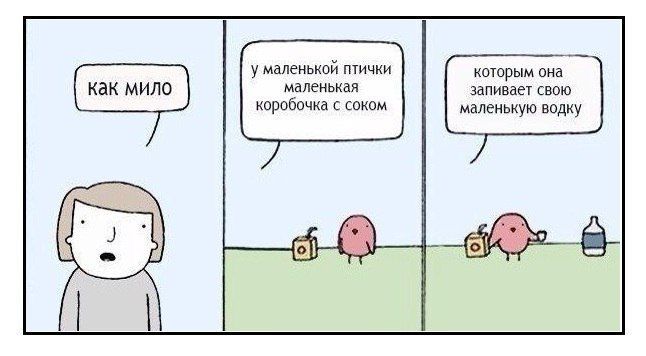 у маленькой птички которым она как мило маленькая запивает свою коробочка с соком маленькую водку
