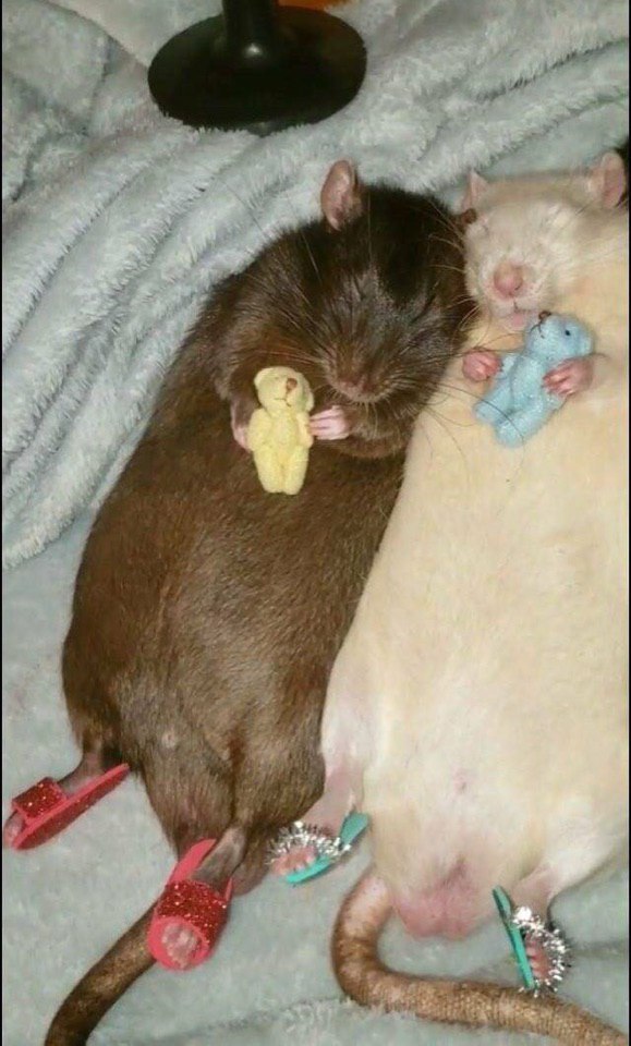 А 4 Be и 7$ у 2 i у 74 7 4