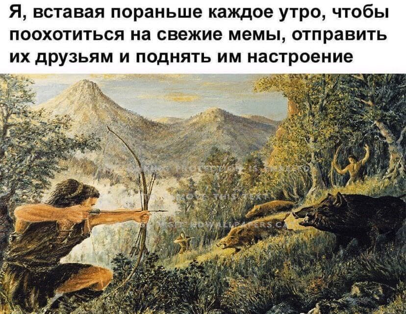 Я, вставая пораньше каждое утро, чтобы поохотиться на свежие мемы, отправить друзьям и поднять настроение at
