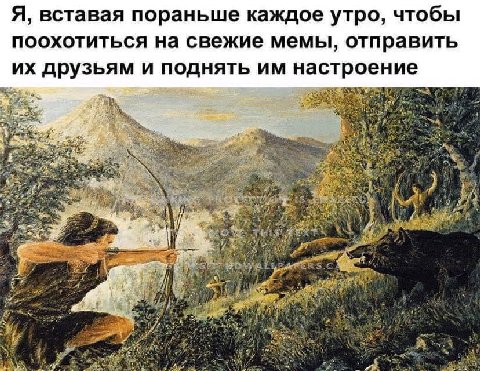 Я, вставая пораньше каждое утро, чтобы поохотиться на свежие мемы, отправить друзьям и поднять настроение at