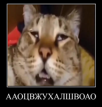 ААОЦВЖУХАЛШВОАО