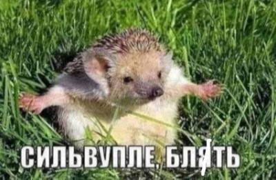 когда проснулся