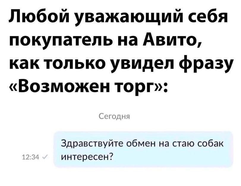 Любой уважающий себя покупатель на Авито, как только увидел фразу «Возможен торг»: Сегодня Здравствуйте обмен на стаю собак интересен?