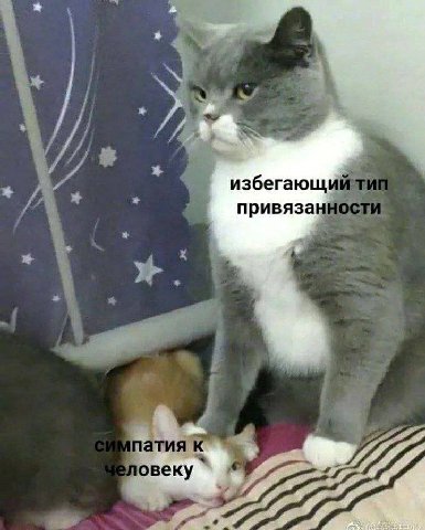 избегающ привязан патия овеку