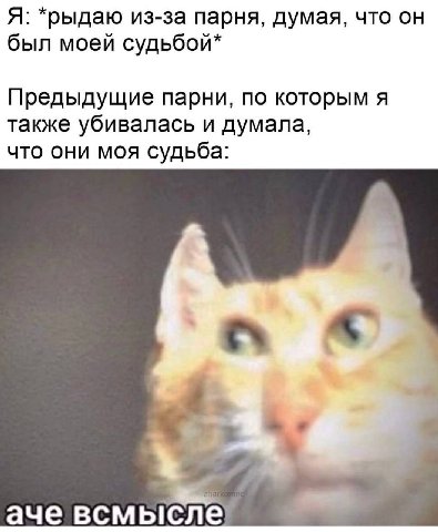 Я: *рыдаю из-за парня, думая, что был моей судьбой* Предыдущие парни, по которым я также убивалась и думала, что они моя судьба: аче всмысле