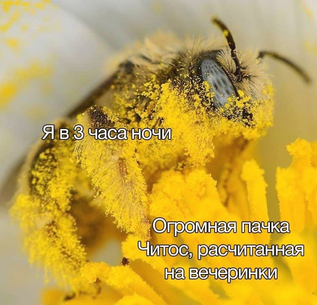 Я в часа ночи Огромная пачка Читос, расчитанная на вечеринки