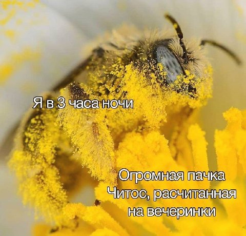 Я в часа ночи Огромная пачка Читос, расчитанная на вечеринки