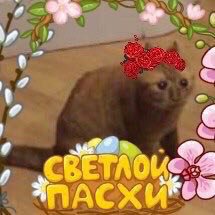 АСХ