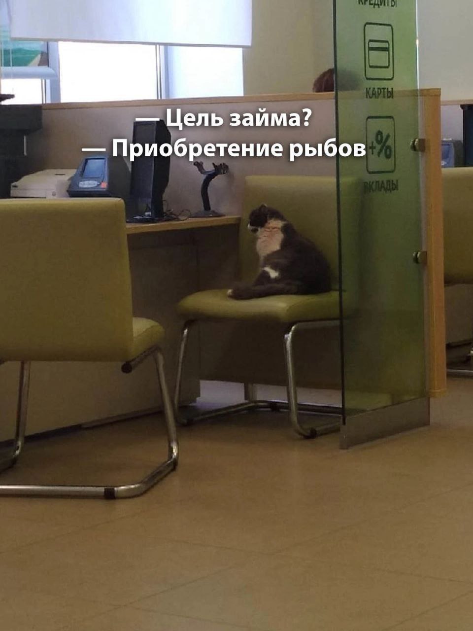 Цель займа? Приобретение рыбов