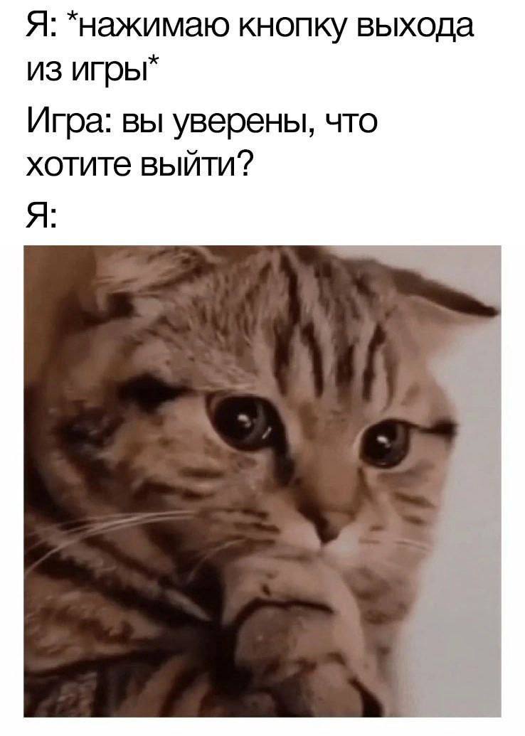 Я: *нажимаю кнопку выхода из Игра: вы уверены, что хотите выйти? Я