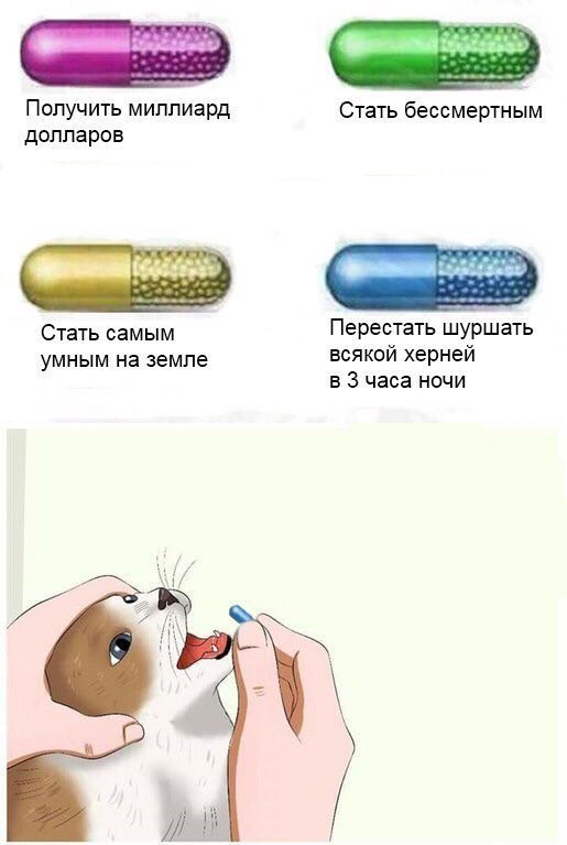 Получить миллиард Стать бессмертным долларов Стать самым Перестать шуршать всякой херней умным на земле в 3 часа ночи