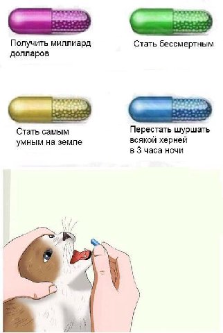Получить миллиард Стать бессмертным долларов Стать самым Перестать шуршать всякой херней умным на земле в 3 часа ночи