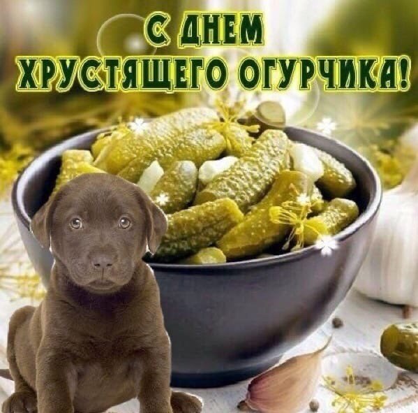 НЕМ ТЯЩ