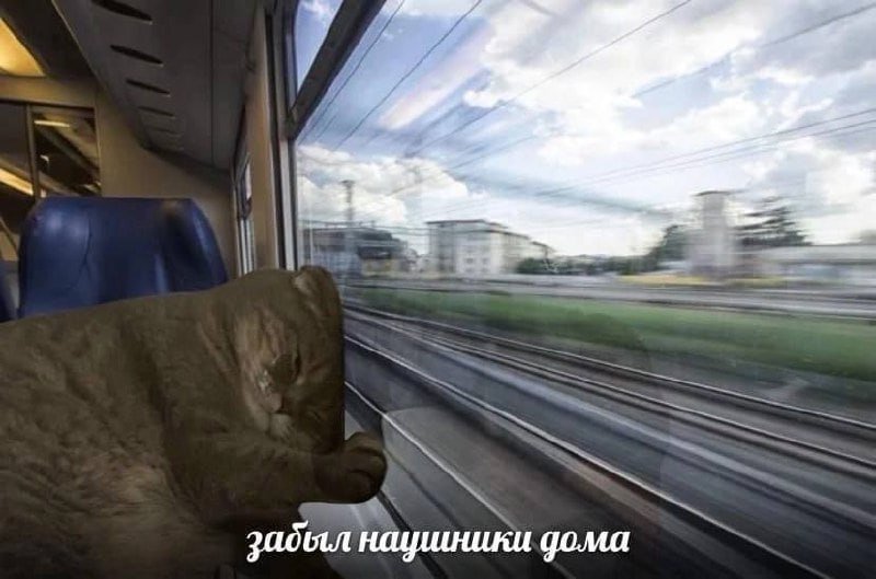 наушники дома