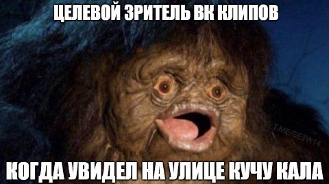ЦЕЛЕВОЙ ЗРИТЕЛЬ КЛИПОВ КОГДА УВИДЕЛ НА УЛИЦЕ КУЧУ КАЛА