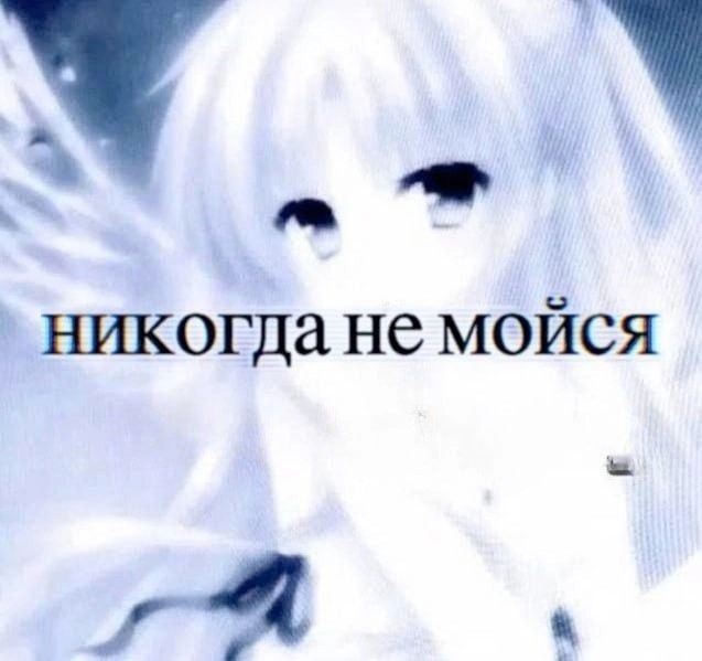 Никогда не мойся