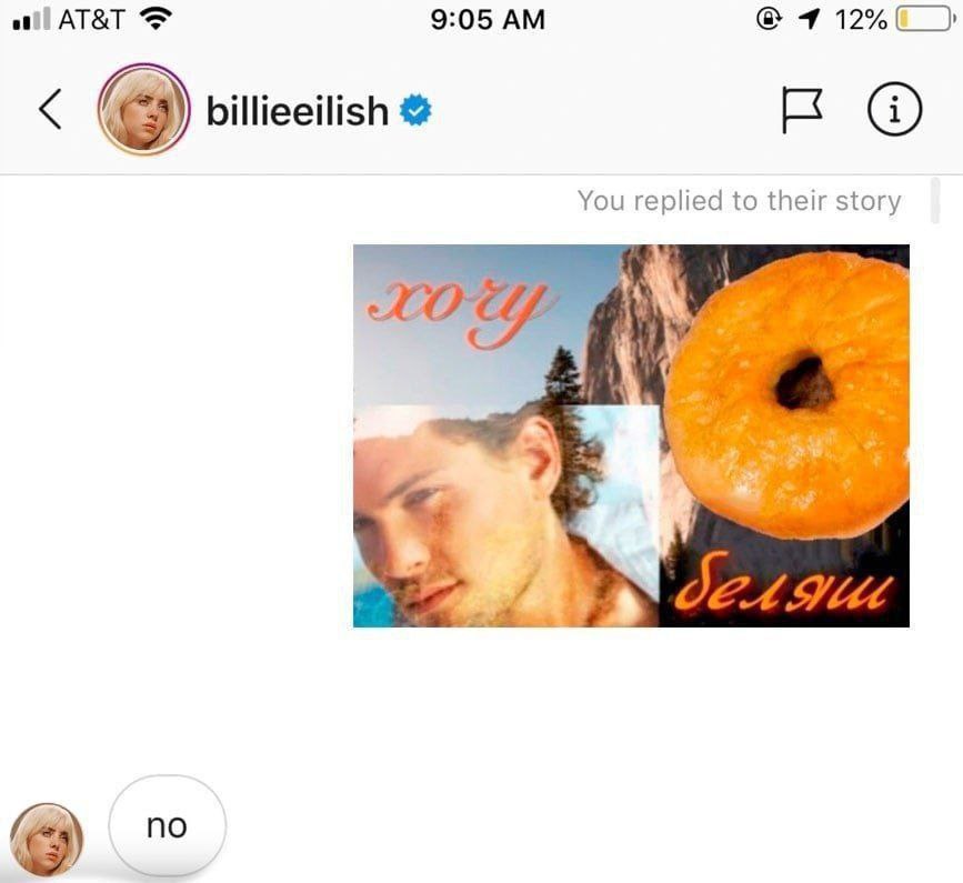 AT&T 9:05 1 12% billieeilish You replied to their story я