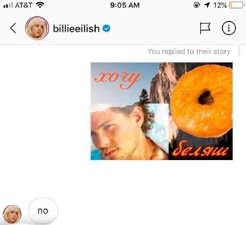 AT&T 9:05 1 12% billieeilish You replied to their story я