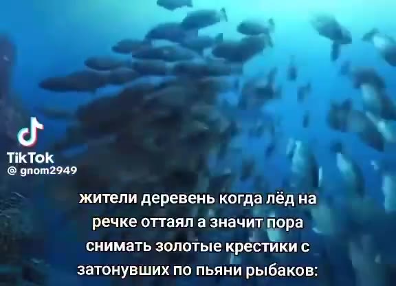 жители деревень когда лёд на речке оттаял а значит пора снимать золотые крестики с затонувших по пьяни рыбаков: