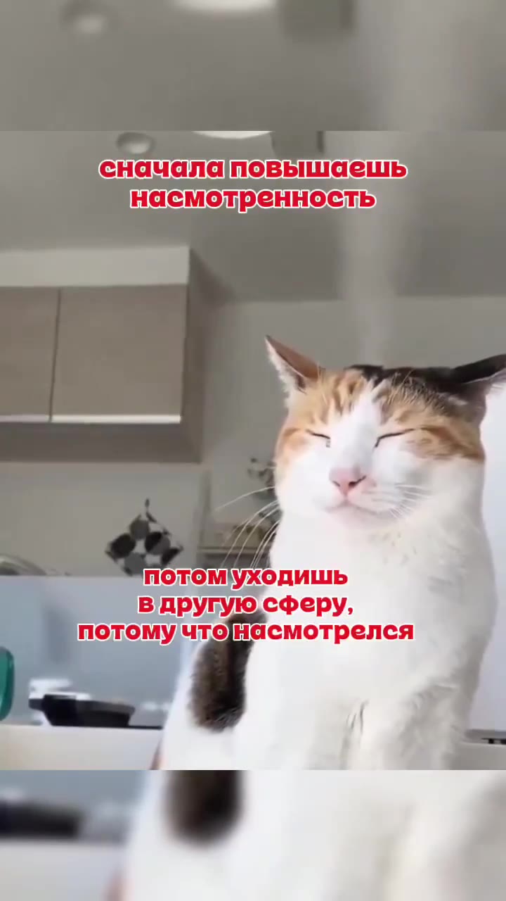 ель потомУходишь a в другую сферу, потомучтонасмотрелся потомучтенасмотрелся