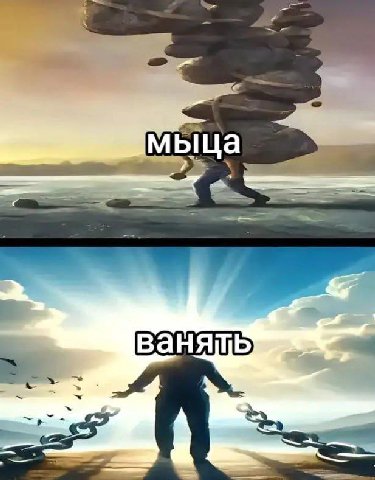 мыца Seer