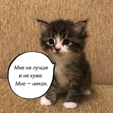 Мне не лучше и не хуже. Мне никак.