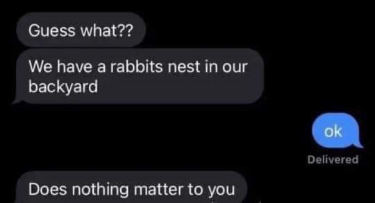 Guess what?? We have а rabbits nest in our backyard Delivered Does nothing matter to you