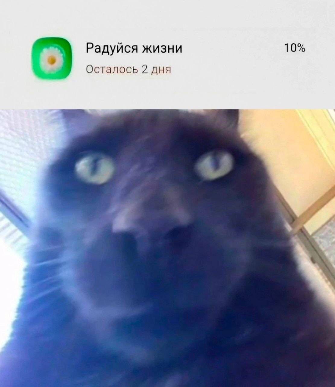 Радуйся жизни 10% Осталось 2 дня