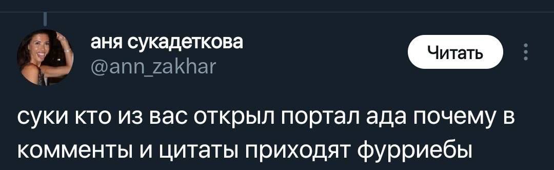 аня сукадеткова суки кто из вас открыл портал ада почему в комменты и цитаты приходят фурриебы
