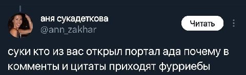 аня сукадеткова суки кто из вас открыл портал ада почему в комменты и цитаты приходят фурриебы