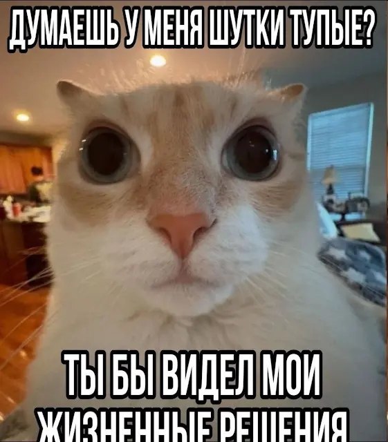 ДУМАЕШЬ У МЕНЯ ШУТКИ ТУПЫЕ! ЖИЗНЕННЫЕ ТЫБЫ ВИДЕЛ МОИ