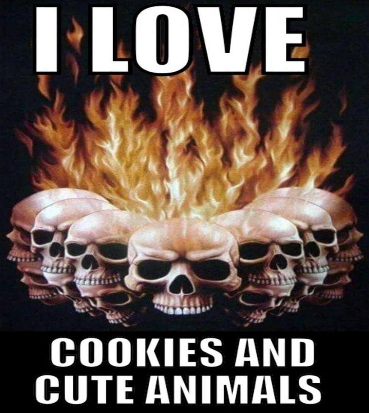 COOKIES AND CUTE ANIMALS