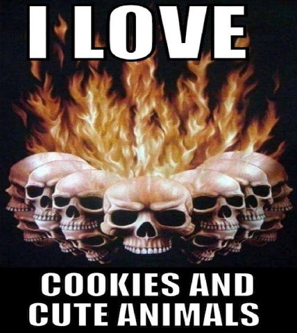 COOKIES AND CUTE ANIMALS