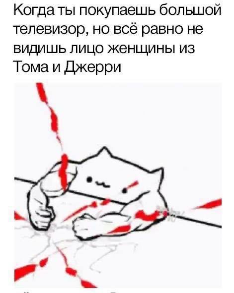 Когда ты покупаешь большой телевизор, но всё равно не видишь лицо женщины из Тома и Джерри