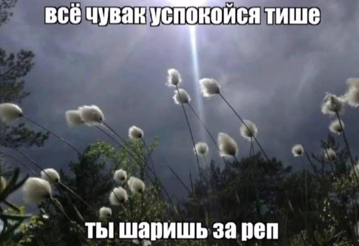 всё чувак успокойся тише ты шаришь за реп