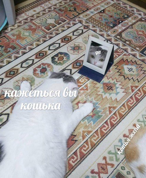 да