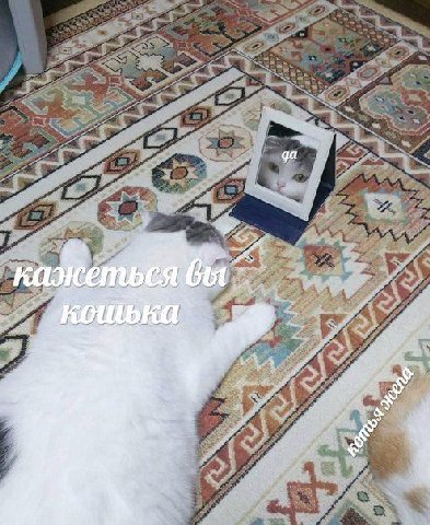 да