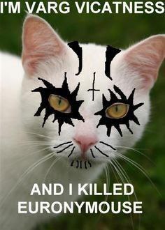 УАКС VICATNESS AND KILLED EURONYMOUSE