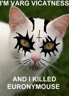 УАКС VICATNESS AND KILLED EURONYMOUSE