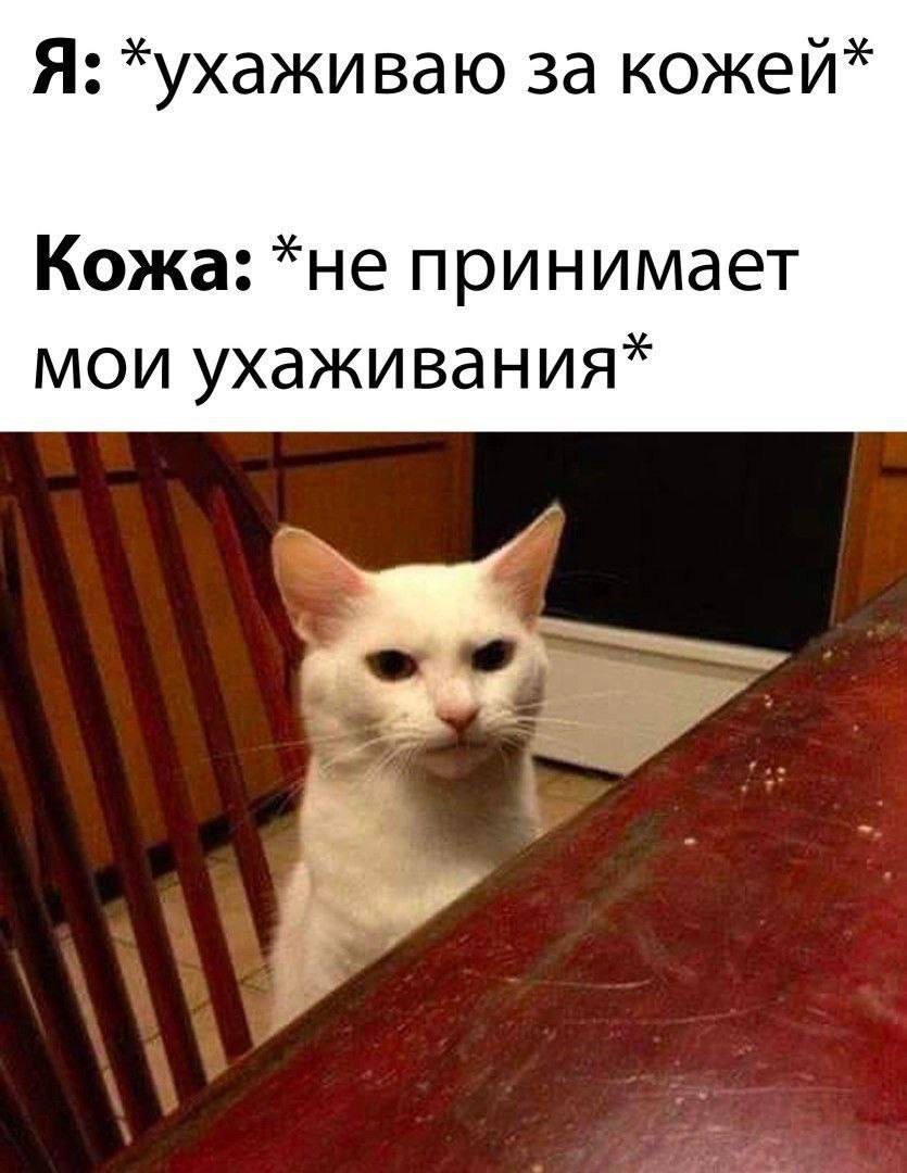 Я: за кожеи* Кожа: принимает мои ухаживания*