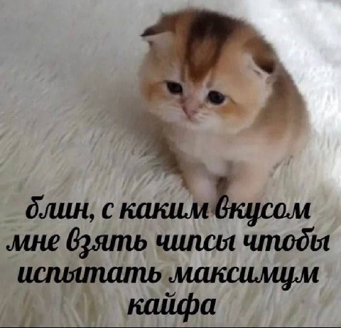 2 блин. с каким мне чипсы чтоды кайфа