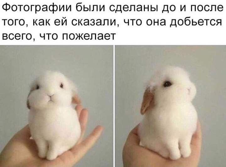 Фотографии были сделаны до и после того, как сказали, что она добьется всего, что пожелает