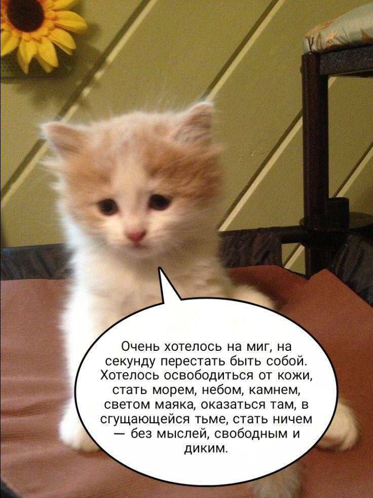 Очень хотелось на миг, на секунду перестать быть собой. Хотелось освободиться от кожи, стать морем, небом, камнем, светом маяка, оказаться там, в сгущающейся тьме, стать ничем без мыслей, свободным и 