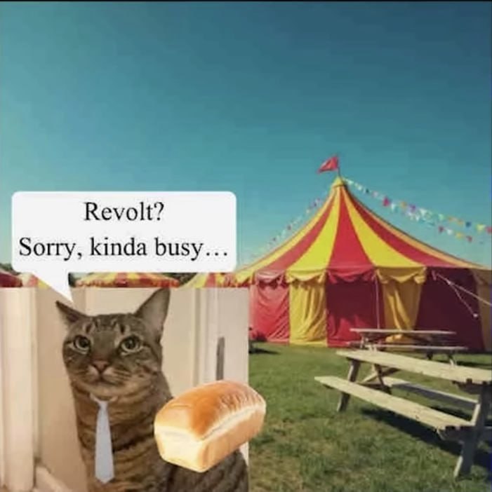 Revolt? Sorry, kinda busy...