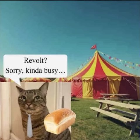 Revolt? Sorry, kinda busy...