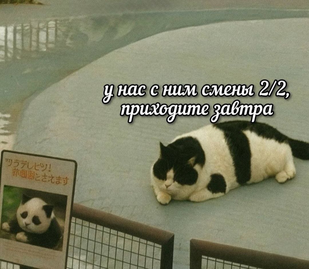 ape is у нас с ним смены 2/2, приходите завтра
