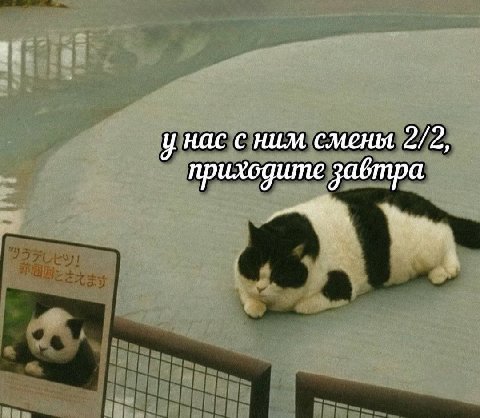 ape is у нас с ним смены 2/2, приходите завтра