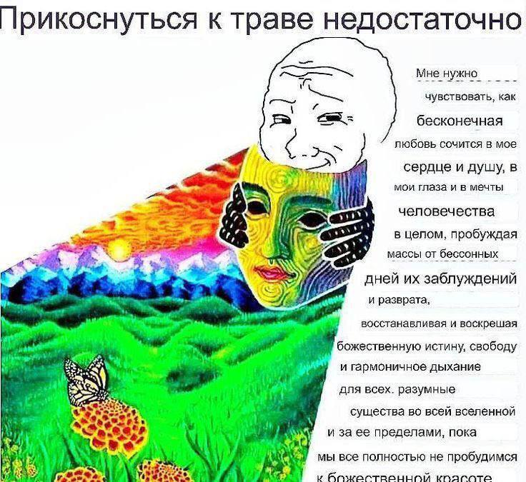 Прикоснуться к траве недостаточно Мне нужно. чувствовать, как бесконечная любовь сочится в мое сердце и душу, в мои глаза и в мечты человечества в целом, пробуждая массы от бессонных дней заблуждений 