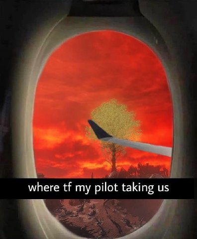 where my pilot taking