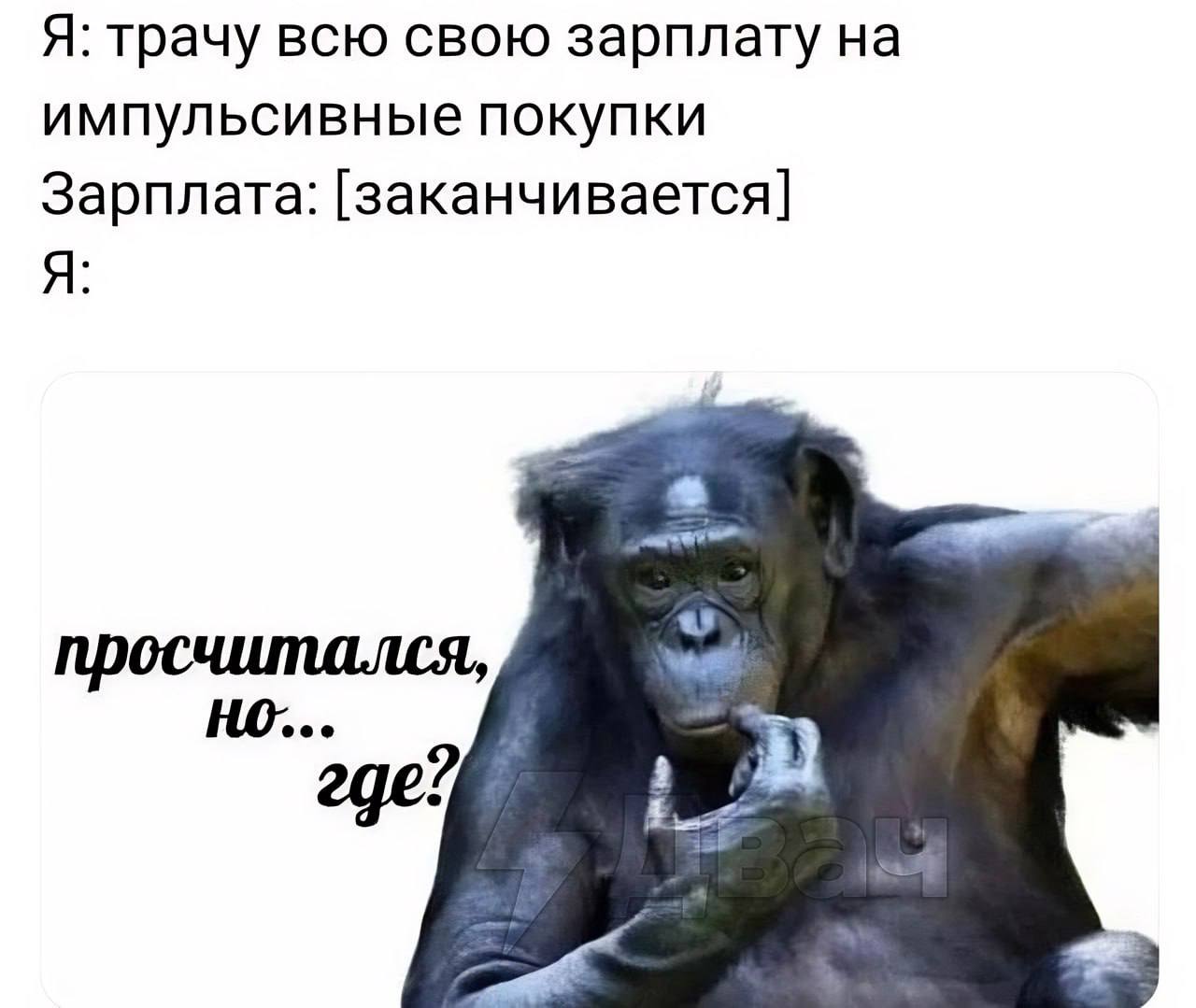 Я: трачу всю свою зарплату на импульсивные покупки Зарплата: [заканчивается] Я: просчитался,